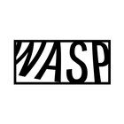 Wasp-Disegno