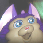 taraneee