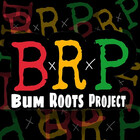 BumRootsProject