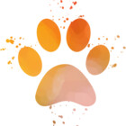 PawsitiveGifts