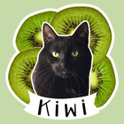 kiwifrootcat