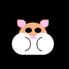 Thecrazyhamster