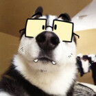 BlackZork