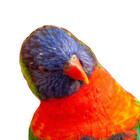 pixelfun