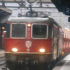 swissman