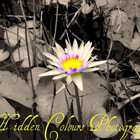 hiddencolours