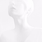Blankscape