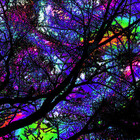 intrasolace