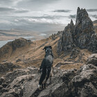 mucklepawprint