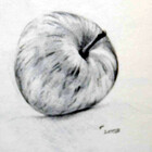 efcruzarts