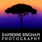 DBinghamDesign