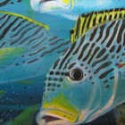 Seaart