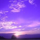 wanderinglilacs