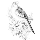 dagmar0184