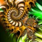 Amberwind