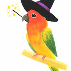 kiwiparakeetart