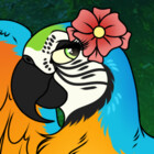 AethonGryphon