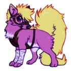 juniperskunk