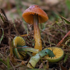 LuleaUrbaNature