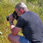 seymourphoto