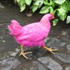 PinkVudu