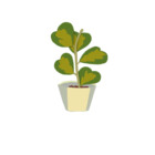plantyboi