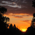 sunsetgirl