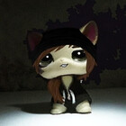 Fengily-LPS