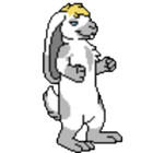 dopy
