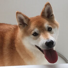 mugenjo