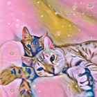 Artscatsy34