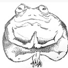 giuliabrasolin