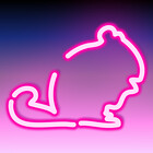 neonchinchilla
