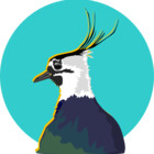 LucyLapwing