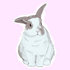 Okitashi