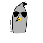 gruthepidgeon