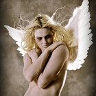 GavinBell