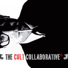 cultcollaborati