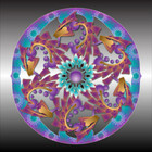 hexpainter