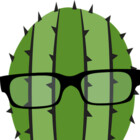 thehonestcactus