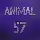 Animal57