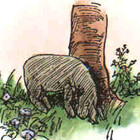 DoctorEeyore