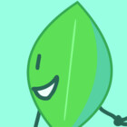 Error-Leafy