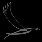 sparrowhawk