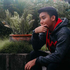 Themajestic04