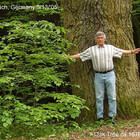 Redbubble profile picture for @Fred