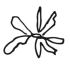 fazann