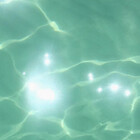 Redbubble profile picture for @Swimmingly