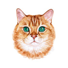 irinagingercat