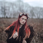 FoxAndTheRaven